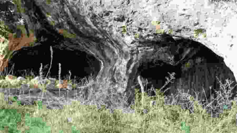 Cave Tommasone, Foggia