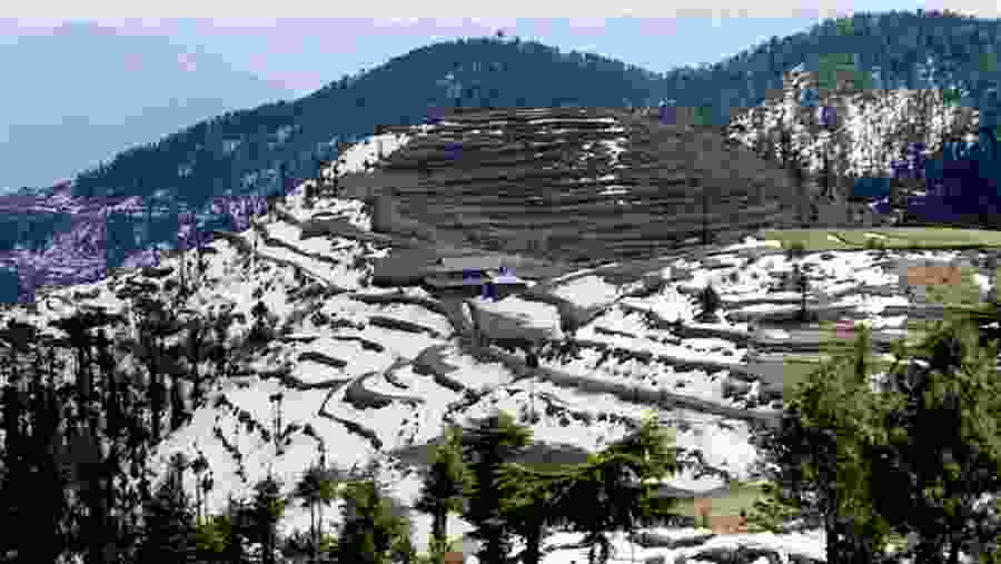 Kufri, Shimla, Himachal Pradesh