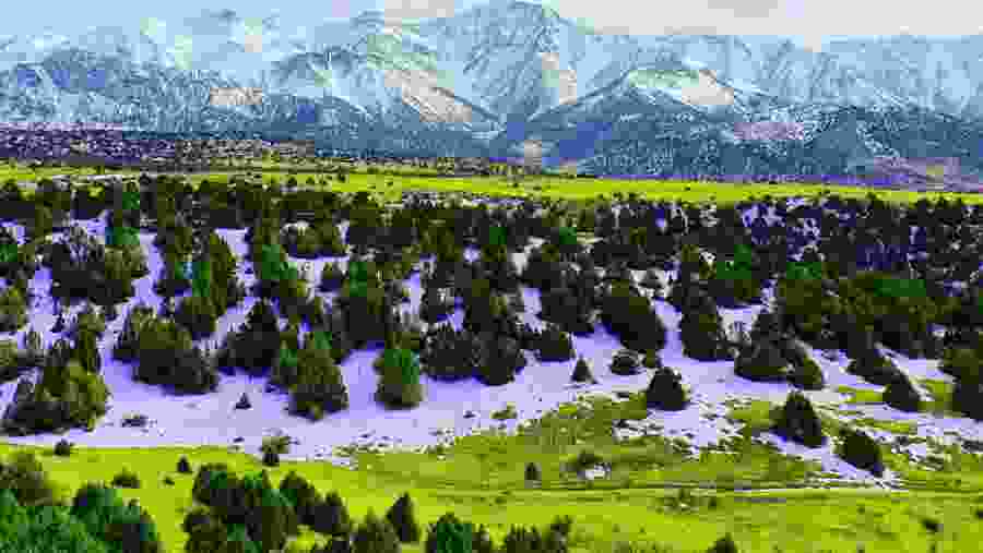 Zaamin National Park