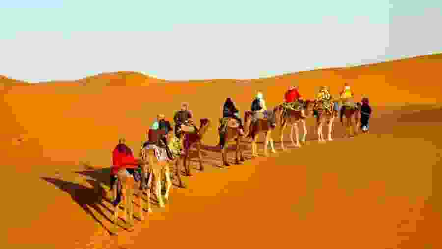 Sahara Desert
