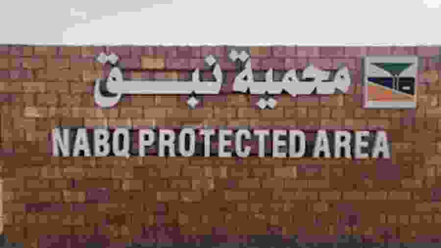 Nabq Protectorate Adventure safari