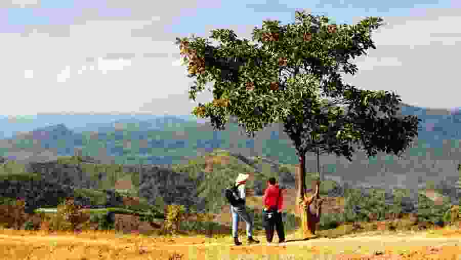 Enjoy gorgeous views from Kalaw