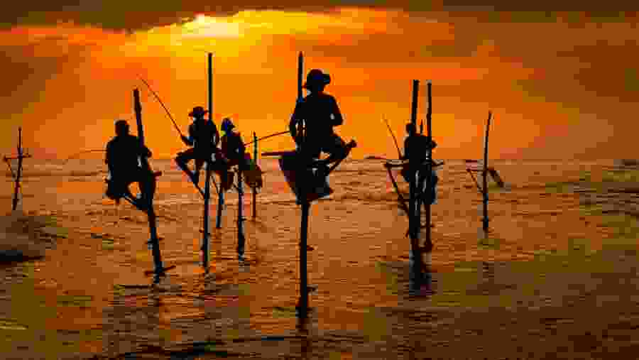 Stilt fishermen, Weligama