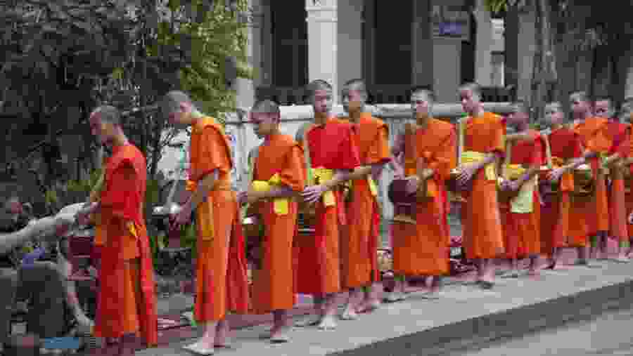 Witness Alm-Offering