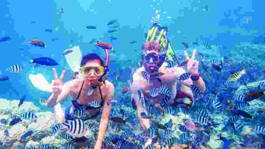 Snorkelling in Hurghada