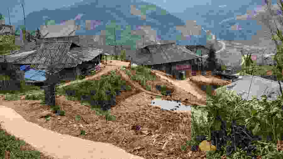 Sapa