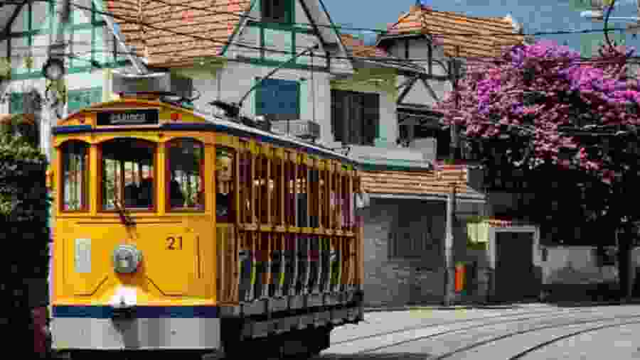 Walk around the Santa Teresa Neighborhood