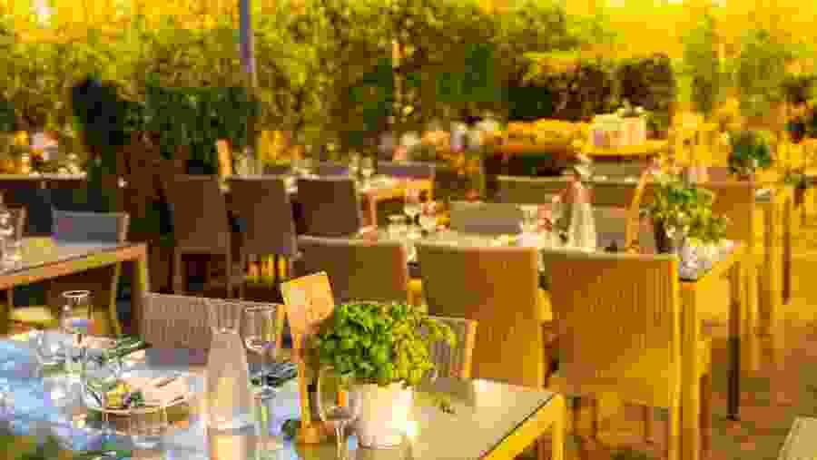 Enjoy the best tomato soup in the world!