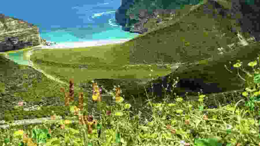 Gorgeous beaches of Oman