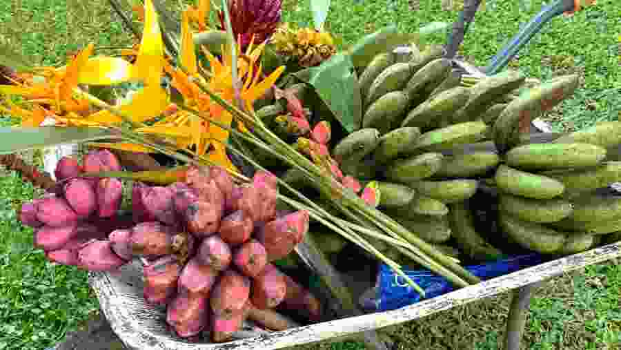 Tagaytay Countryside Sightseeing Tour