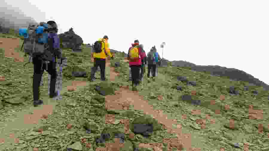 Hikers at Mount Kilimanjaro