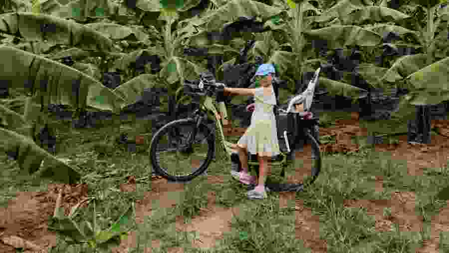 Banana Island in Hanoi