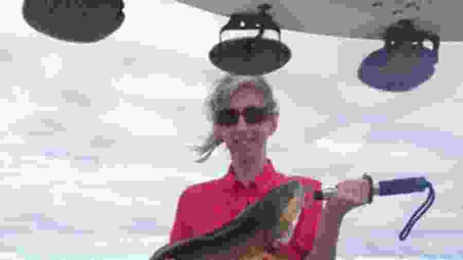 Fishing in Tampa, Florida