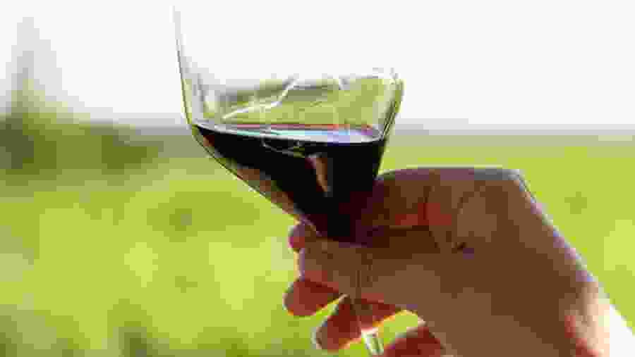 Wine Tasting