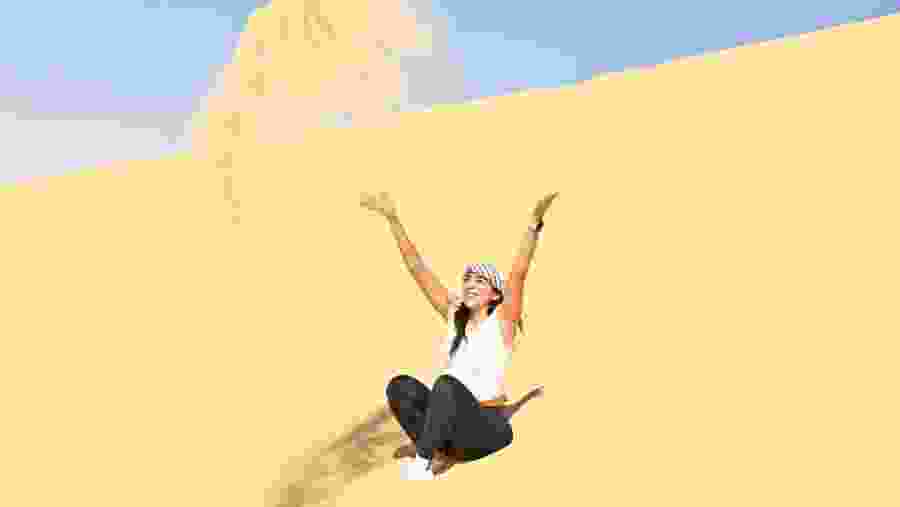 Travelers in the desert