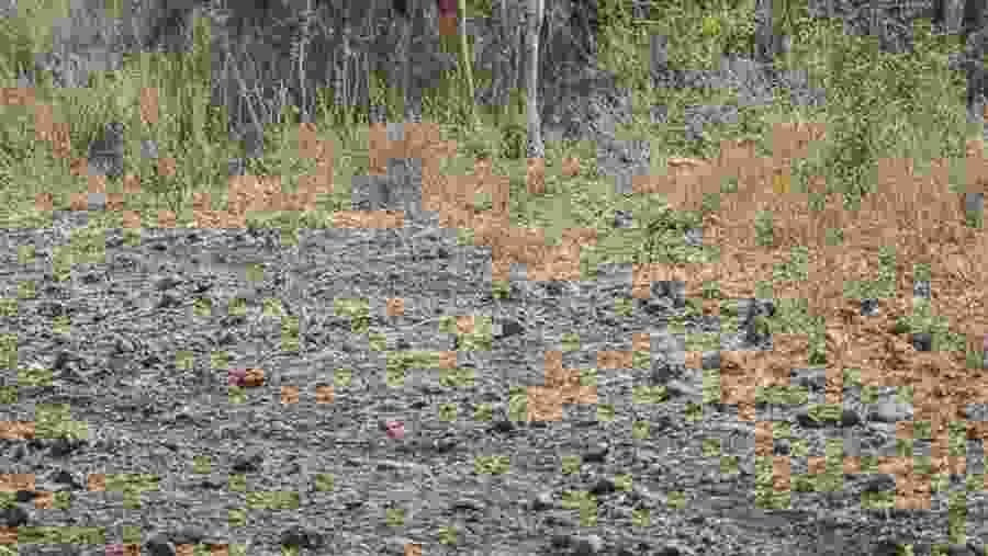 Amboseli National Park
