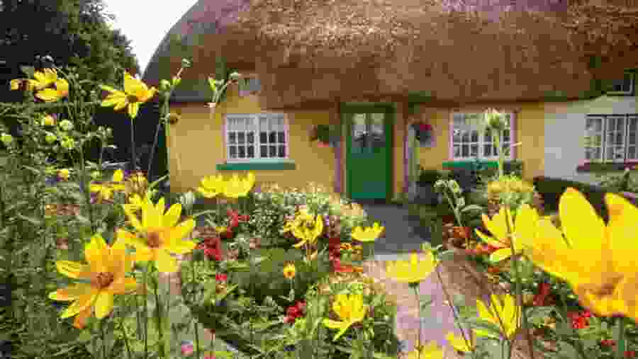 Typical thatched cottages