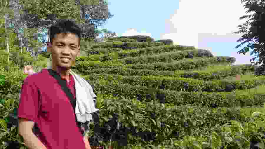 Nglinggo Tea Plantations