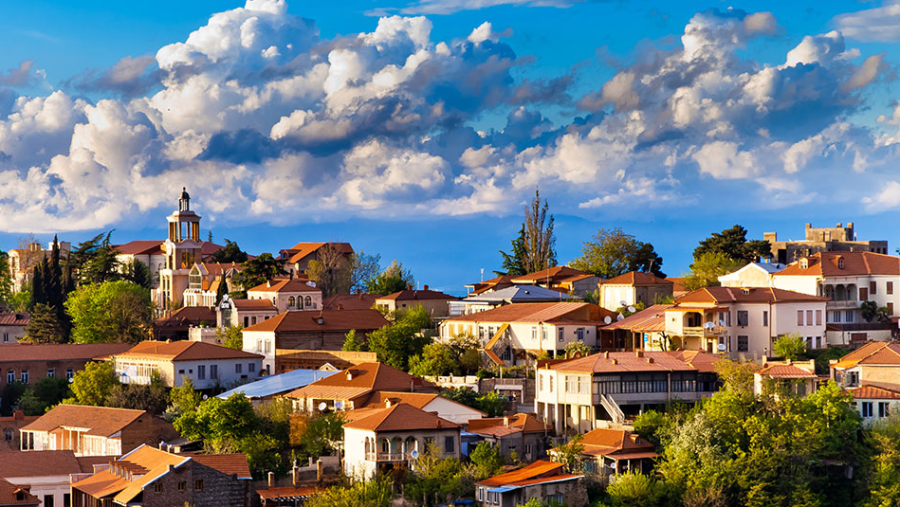 Scenic Skyline in Signagi