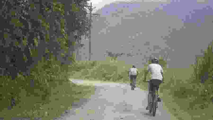 Biking Through the Jungle