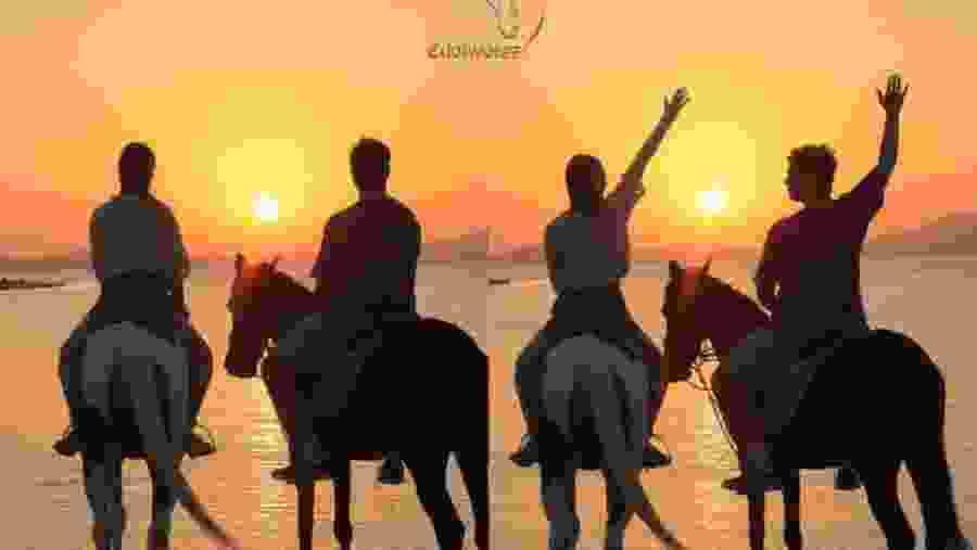 Horse Riding in the Red Sea Desert