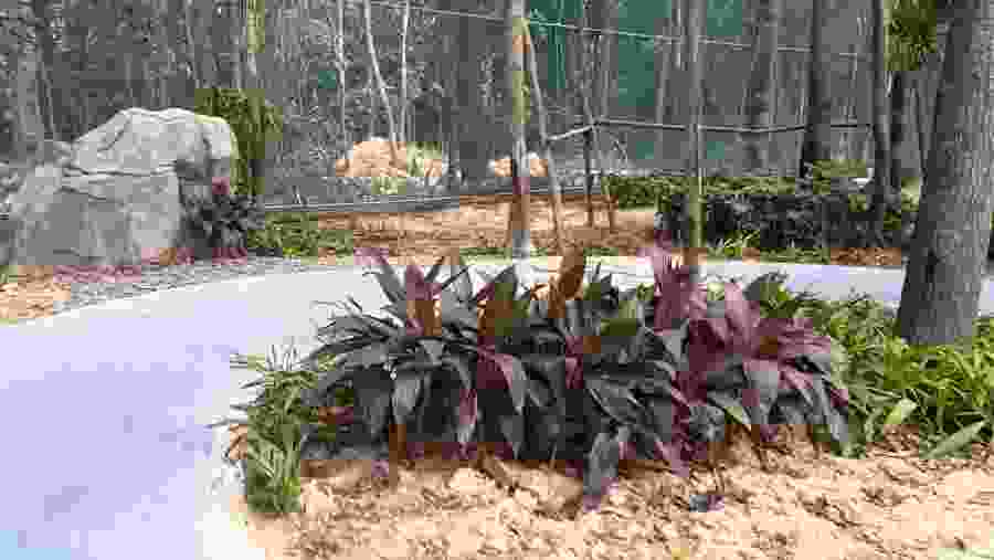 Vinpearl Land Phu Quoc