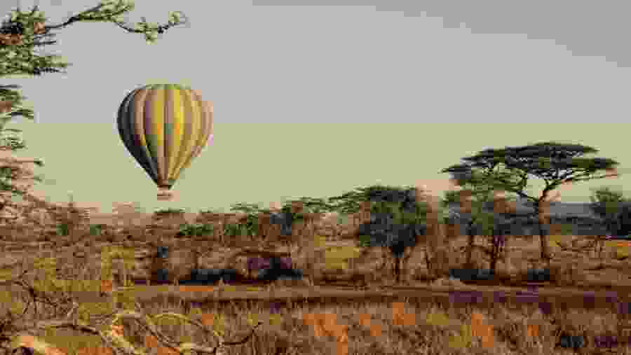Balloon Ride over the Serengeti Plains