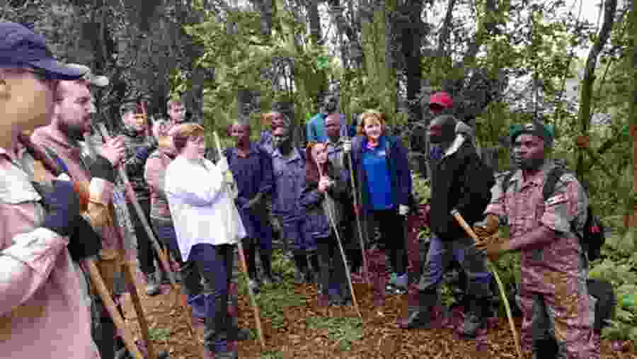 Gorilla trek in Bwindi