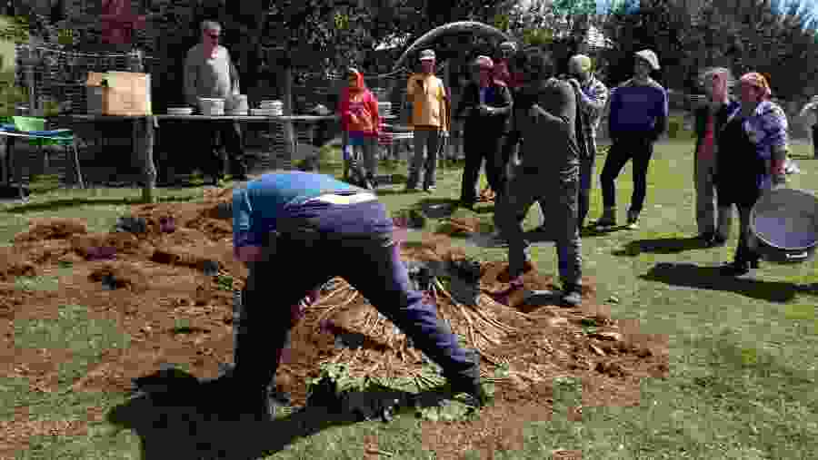 Tour del curanto en Chiloe