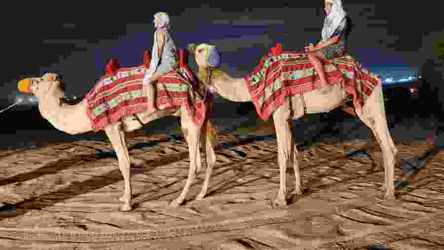 Enjoy Camel rides