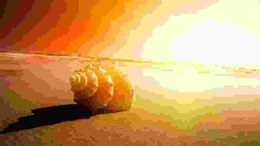 Bright Sun on the Dead Sea