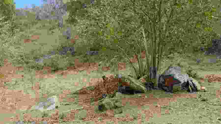 Che's Route - Historic Trekking and Nature