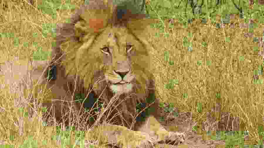 Serengeti National Park