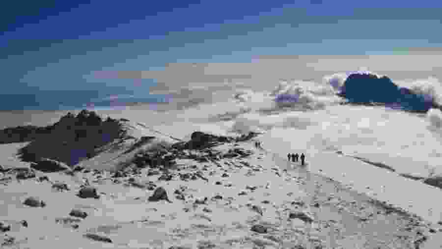 Trek to the summit