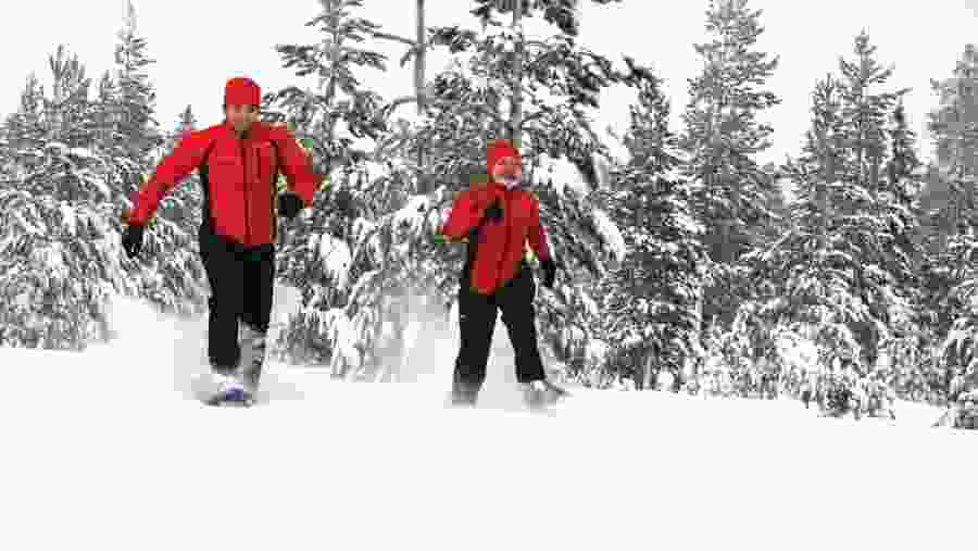 Snowshoe Trekking