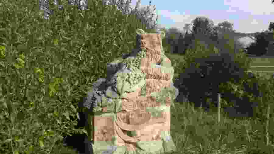 Wine Tasting Tour In France