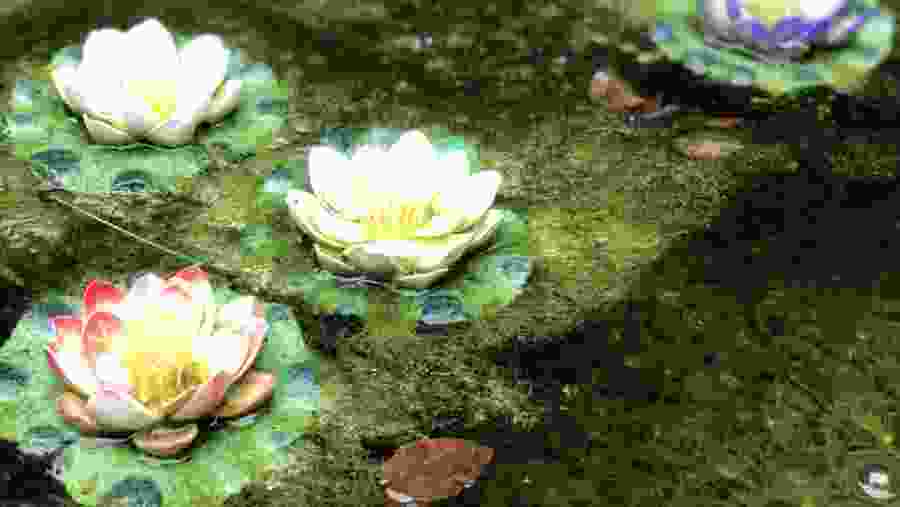 Beautiful nature