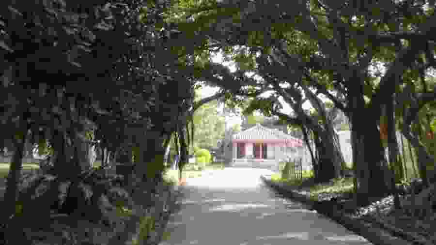 Okinawa UNESCO World Heritage