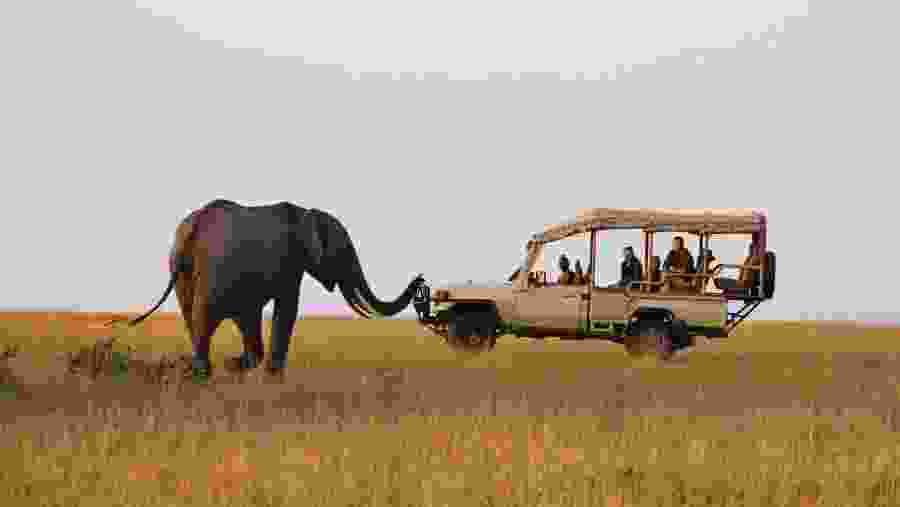 Mosi oa tunya national park game drive