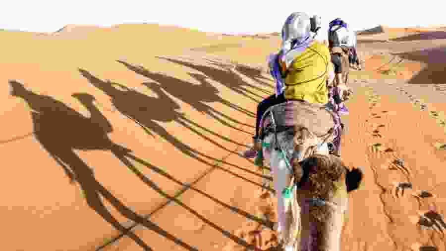 Travelers camel riding