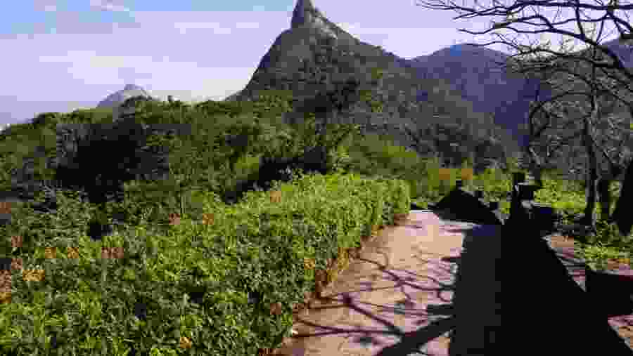 Tijuca National Park