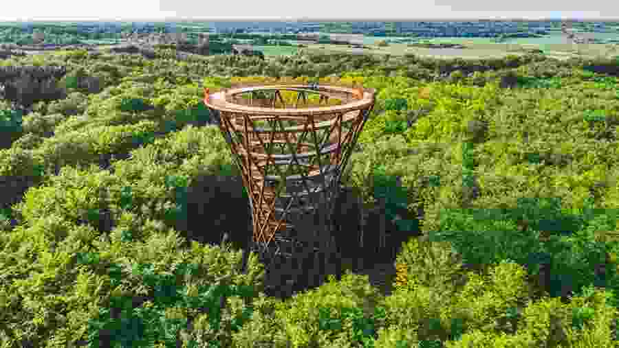 Visit the Forest Tower of Denmark