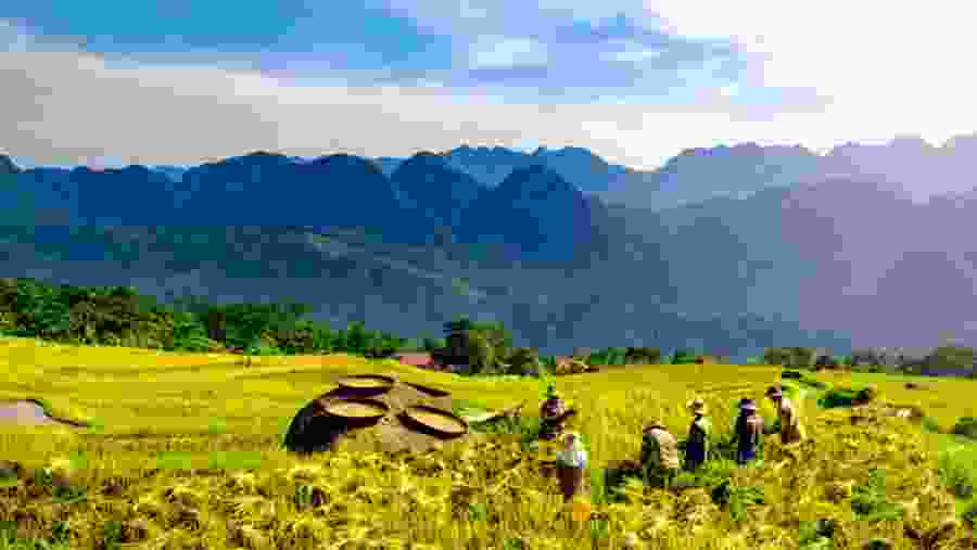 Khu Bảo Tồn Thiên Nhiên Pù Luông