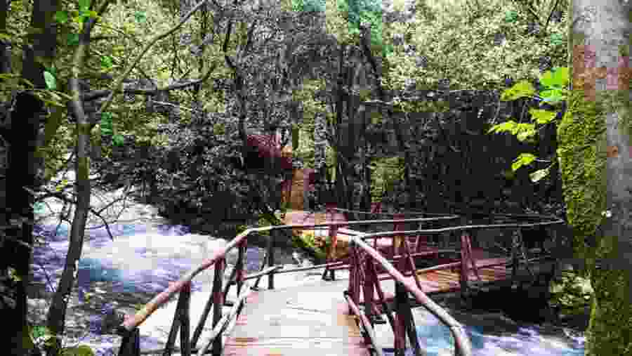 River Stream of Konavle Region