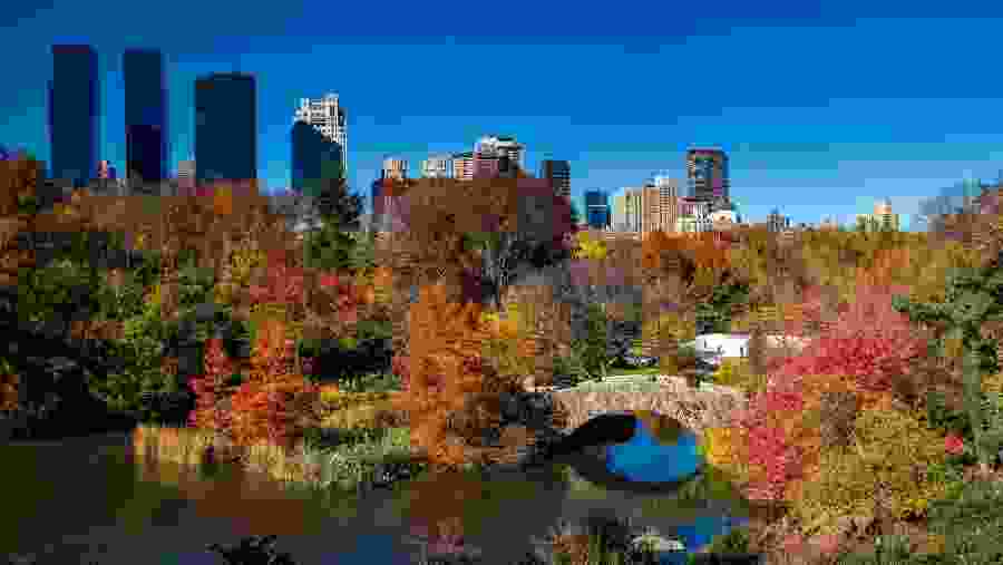 Enjoy cycling through the beautiful Central Park