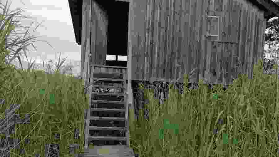 Wooden Shack