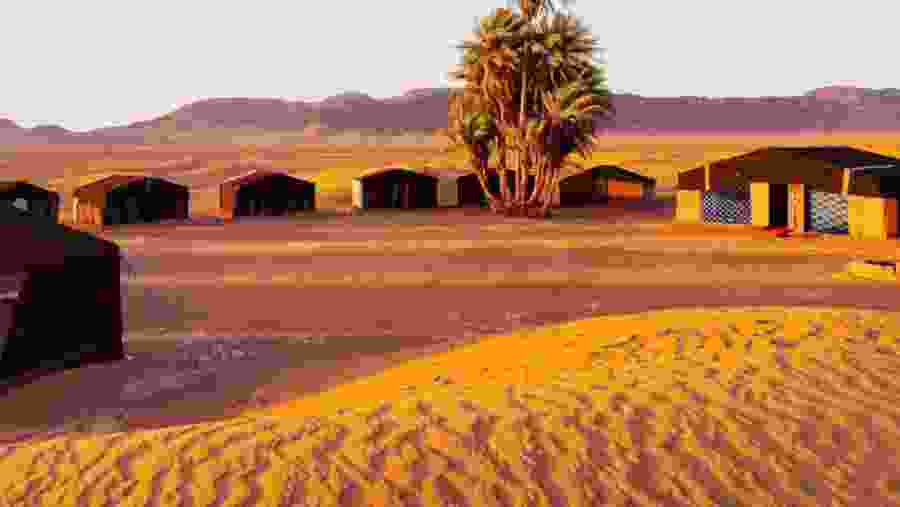 Zagora Desert