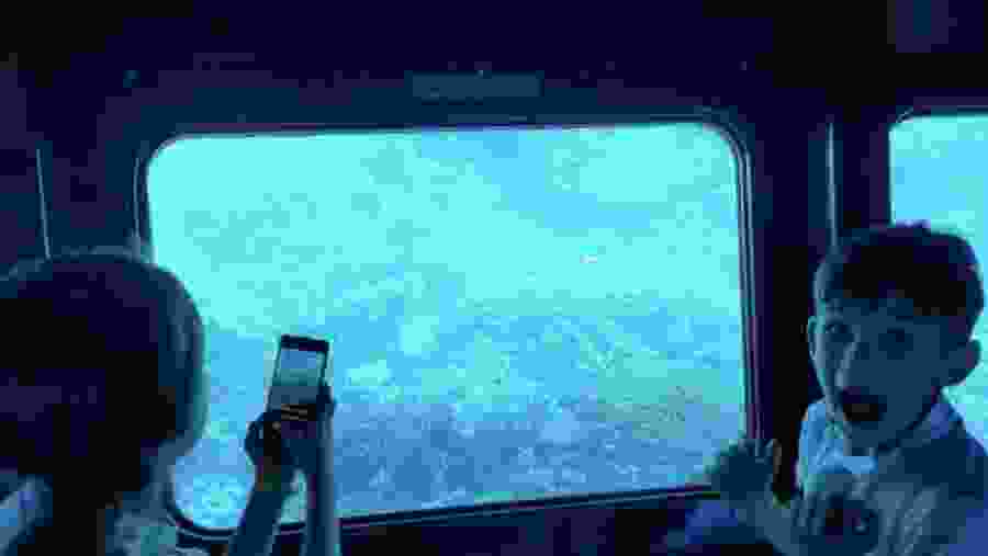 Travelers observing the aquatic life of Sharm el-Sheik