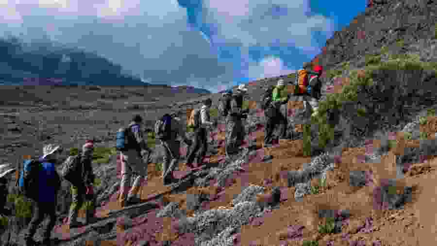 Trek through Mt Kilimanjaro