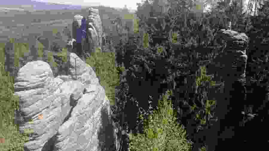 Forests And Rock Formations